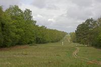 Cjp_2010_05_02_080010 (2).jpg